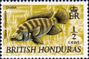 British Honduras 1968 Wildlife SG 277 Fine Mint