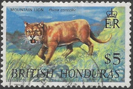 British Honduras 1968 Wildlife SG 278 Fine Used