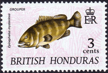 British Honduras 1969 Fish SG 258 Fine Mint