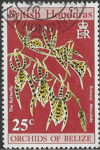 British Honduras 1969 Orchids of Belize SG 290 Fine Used