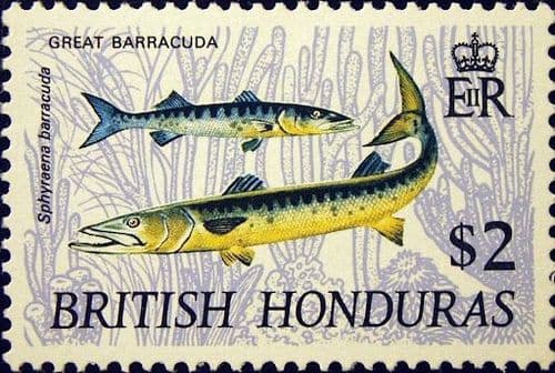 British Honduras 1969 Wildlife SG 266 Fine Mint