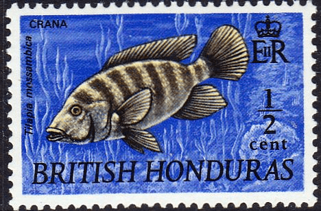 British Honduras 1969 WildLife SG 276 Fine Mint