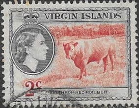 British Virgin Islands 1956 Queen Elizabeth II Cattle SG 151 Fine Used