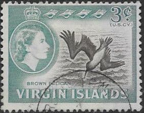 British Virgin Islands 1964 Queen Elizabeth II Brown Pelican SG 180 Fine Used