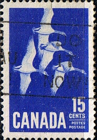 Canada 1963 Flying Snow Gees Fine Used