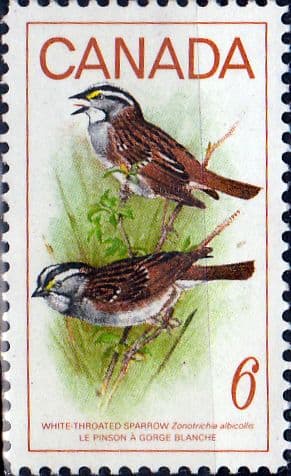 Canada 1969 Birds White-throated Sparrow SG 638 Fine Mint