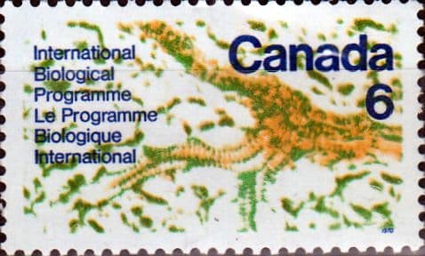 Canada 1970 International Biological Programme SG 649 Fine Mint