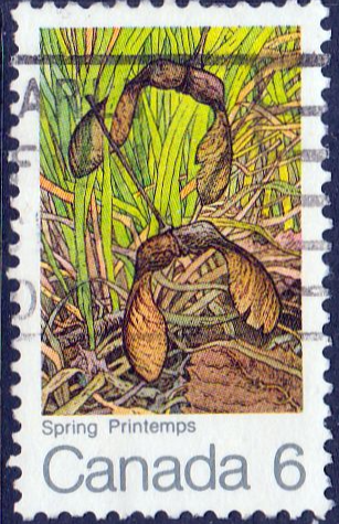 Canada 1971 The Maple Leaf in Four Seasons SG 677 Fine Used