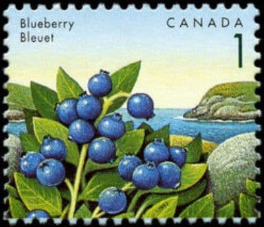 Canada 1991 Edible Berries SG 1460 Fine Used