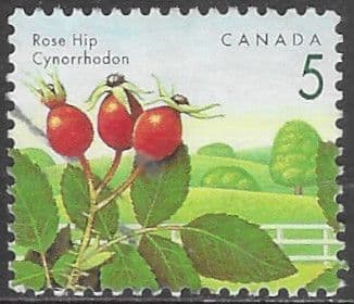 Canada 1991 Edible Berries SG 1463 Fine Used