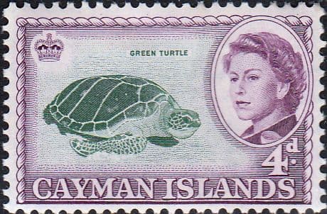 Cayman Islands 1962 Green Turtle SG 171 Fine Mint