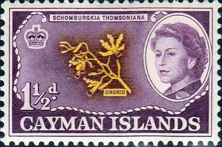 Cayman Islands 1962 Orchid SG 167 Fine Mint