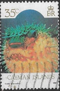 Cayman Islands 1986 Marine Life SG 640 Fine Used