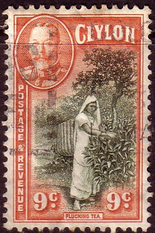 Ceylon 1935 King George V SG 371 Picking Tea Fine Used