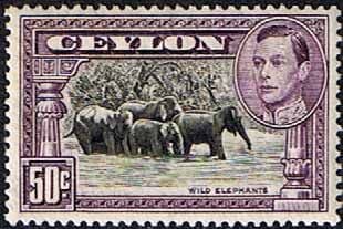 Ceylon 1938 King George VI SG 394 Wild Elephants Fine Mint