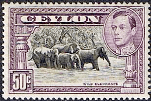 Ceylon 1938 King George VI SG 394e Wild Elephants Fine Mint