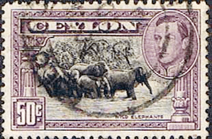 Ceylon 1938 King George VI SG 394e Wild Elephants Fine Used