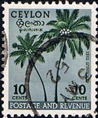 Ceylon 1951 SG 422 Cocconut Trees Fine Used
