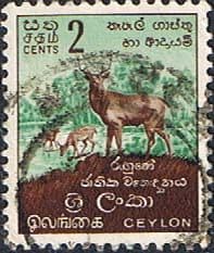 Ceylon 1958 SG 448 Sambars Ruhuna National Park Fine Used