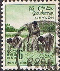 Ceylon 1958 SG 452 Harvesting Rice Fine Used
