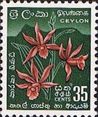 Ceylon 1958 SG 457 Star Orchid Fine Mint
