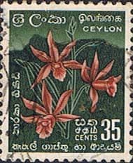 Ceylon 1958 SG 457 Star Orchid Fine Used