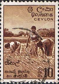 Ceylon 1958 SG 465 Harvesting Rice Fine Used