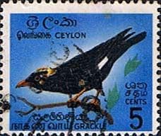 Ceylon 1964 SG 485 Bird Southern Grackle Fine Used
