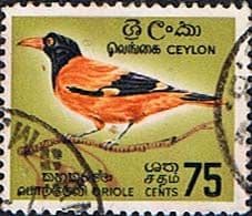 Ceylon 1964 SG 495 Bird Asian black-headed Oriole Fine Used