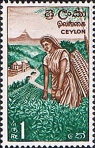 Ceylon 1964 SG 497 Tea Plantation Fine Mint