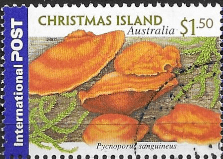 Christmas Island 2001 International Stamps. Fungi. SG 491 Fine Used