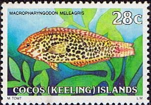 Cocos Keeling Islands 1979 Fishes SG 40a Guineafowl Wrasse Fine Mint