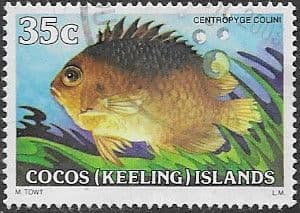 Cocos Keeling Islands 1979 Fishes SG 42 Cocos-Keeling angelfish Fine Used