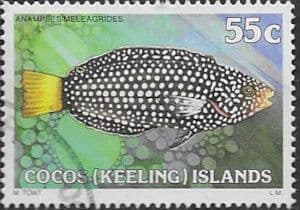 Cocos Keeling Islands 1979 Fishes SG 45 Yellow-tailed Tamarin Fine Used