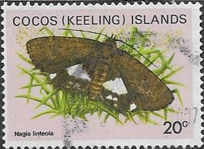 Cocos Keeling Islands 1982 Butterflies and Moths SG 88 Fine Used