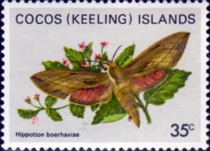 Cocos Keeling Islands 1982 Butterflies and Moths SG 91 Fine Mint