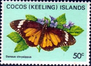 Cocos Keeling Islands 1982 Butterflies and Moths SG 94 Fine Mint