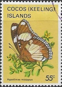 Cocos Keeling Islands 1982 Butterflies and Moths SG 95 Fine Used
