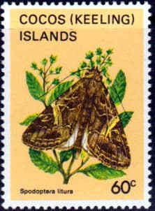 Cocos Keeling Islands 1982 Butterflies and Moths SG 96 Fine Mint