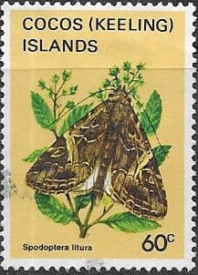 Cocos Keeling Islands 1982 Butterflies and Moths SG 96 Fine Used