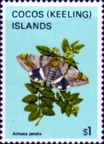 Cocos Keeling Islands 1982 Butterflies and Moths SG 97 Fine Mint