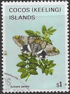 Cocos Keeling Islands 1982 Butterflies and Moths SG 97 Fine Used