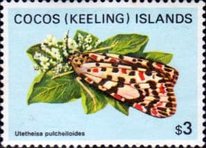 Cocos Keeling Islands 1982 Butterflies and Moths SG 99 Fine Mint