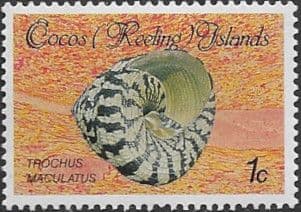 Cocos Keeling Islands 1985 Shells and Molluscs SG 135 Fine Mint