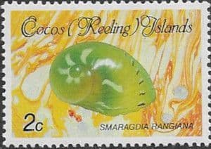 Cocos Keeling Islands 1985 Shells and Molluscs SG 136 Fine Mint