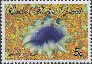 Cocos Keeling Islands 1985 Shells and Molluscs SG 139 Fine Mint