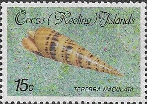Cocos Keeling Islands 1985 Shells and Molluscs SG 141 Fine Mint