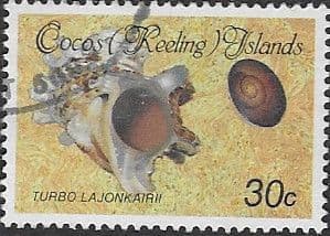 Cocos Keeling Islands 1985 Shells and Molluscs SG 143 Fine Used