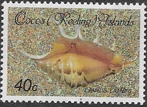 Cocos Keeling Islands 1985 Shells and Molluscs SG 145 Fine Mint