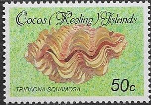 Cocos Keeling Islands 1985 Shells and Molluscs SG 146 Fine Mint